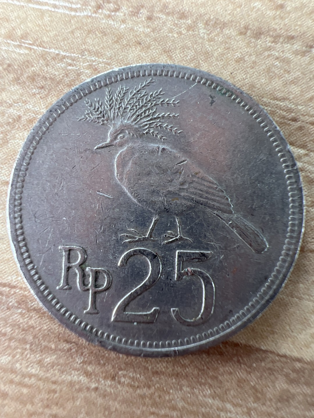 泡泡堂第255期  世界硬币 （无押金，捡漏，全场20包邮，偏远地区除外，接收代拍业务） 印度尼西亚25卢比