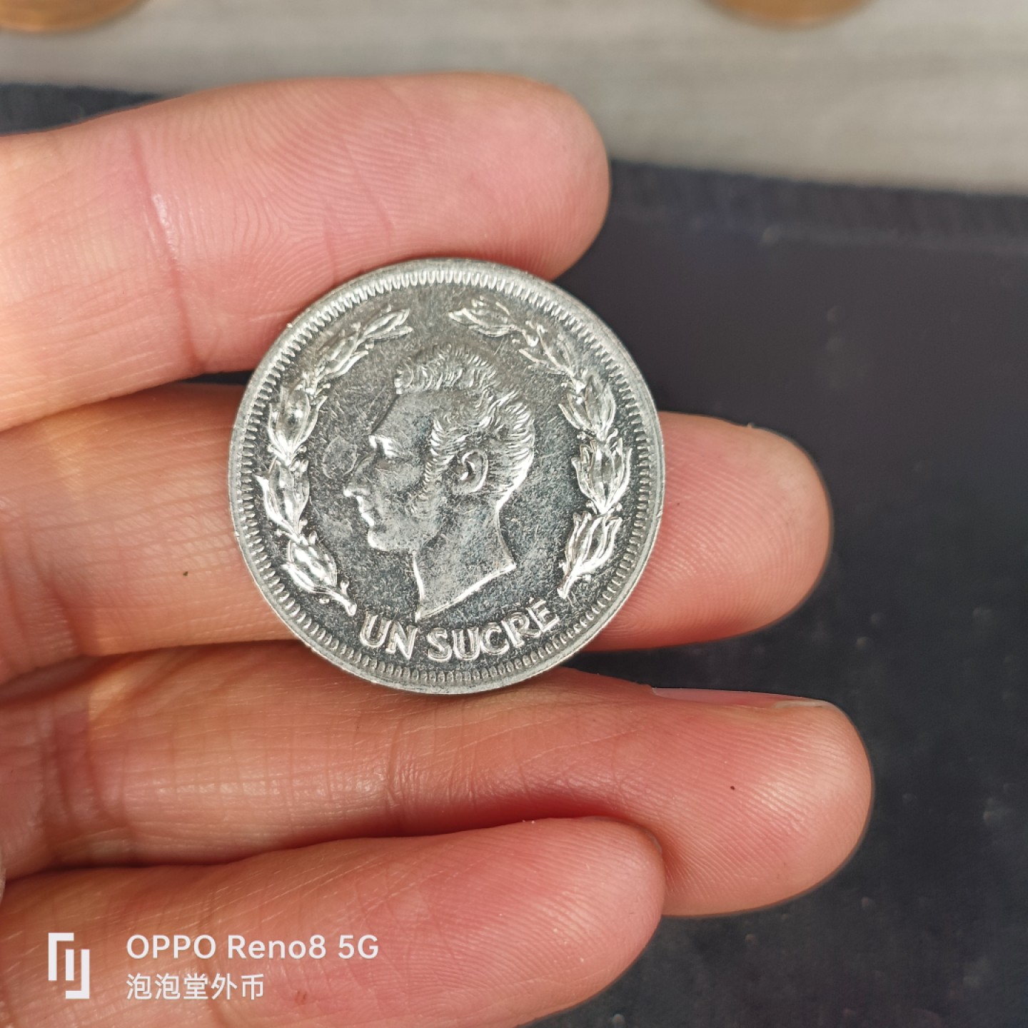 泡泡堂微拍第五十五幕硬币捡漏可累计专场👿👿，零佣金，零押金，累计满二十元包邮，接受代拍业务 厄瓜多尔75年一苏克雷。