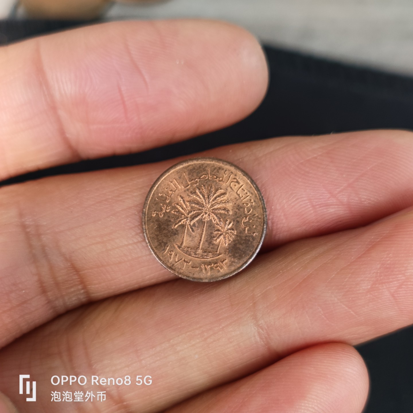 泡泡堂微拍第五十五幕硬币捡漏可累计专场👿👿，零佣金，零押金，累计满二十元包邮，接受代拍业务 阿联酋元光最小面值
