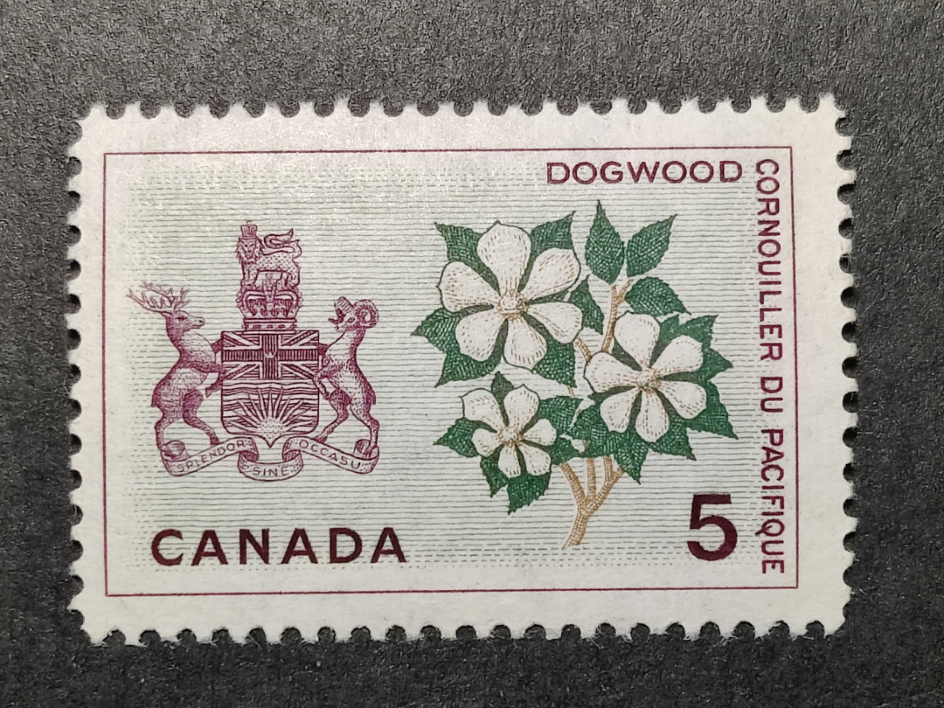洪涛臻品批发群  精选邮票限时拍卖第一百六十九期 加拿大1966年 山茱萸与英属哥伦比亚省武装徽章 新票, 精美雕刻版, 原胶完美润亮 相当难得的品相, 漂亮！