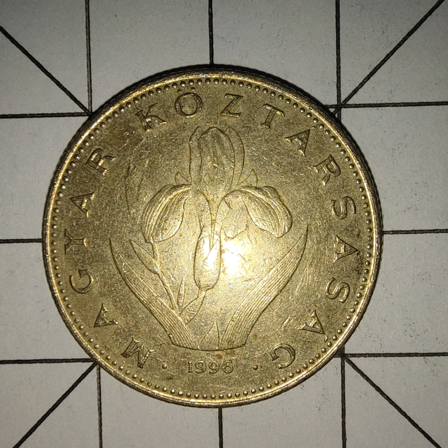 收藏之家世界硬币新年场(捡漏，无押金，无佣金，全场满20包邮，偏远地区除外) 匈牙利20福林1996年