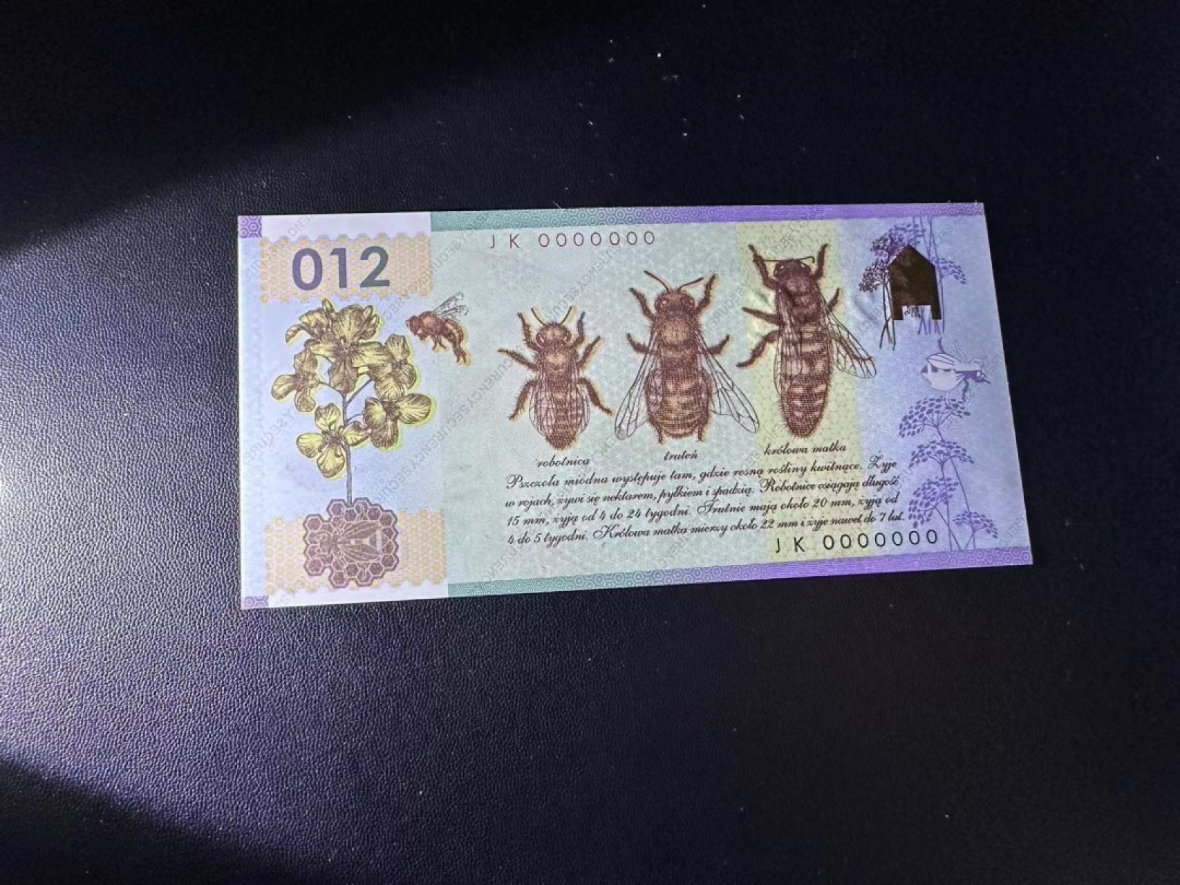 《外钞收藏家》第二百四十期（连拍第三场） 2012年波兰印钞厂测试钞 全新UNC