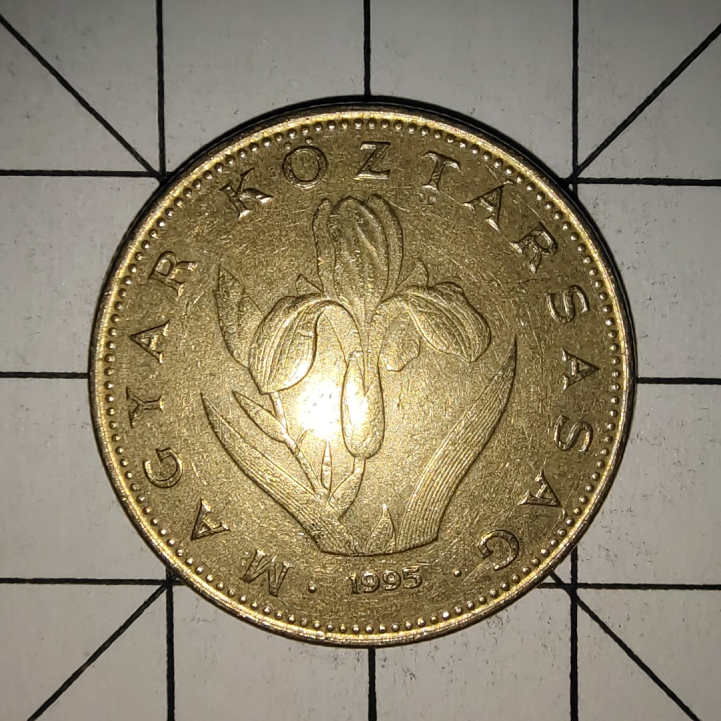 收藏之家世界硬币新年场(捡漏，无押金，无佣金，全场满20包邮，偏远地区除外) 匈牙利20福林1995年