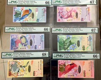 【Blue Auction】✨世界纸币精拍第289期——百慕大18号  - 【洋葱冠全同18小号极品套】百慕大 2009年2-100元 PMG68EPQ-66EPQ 非常漂亮