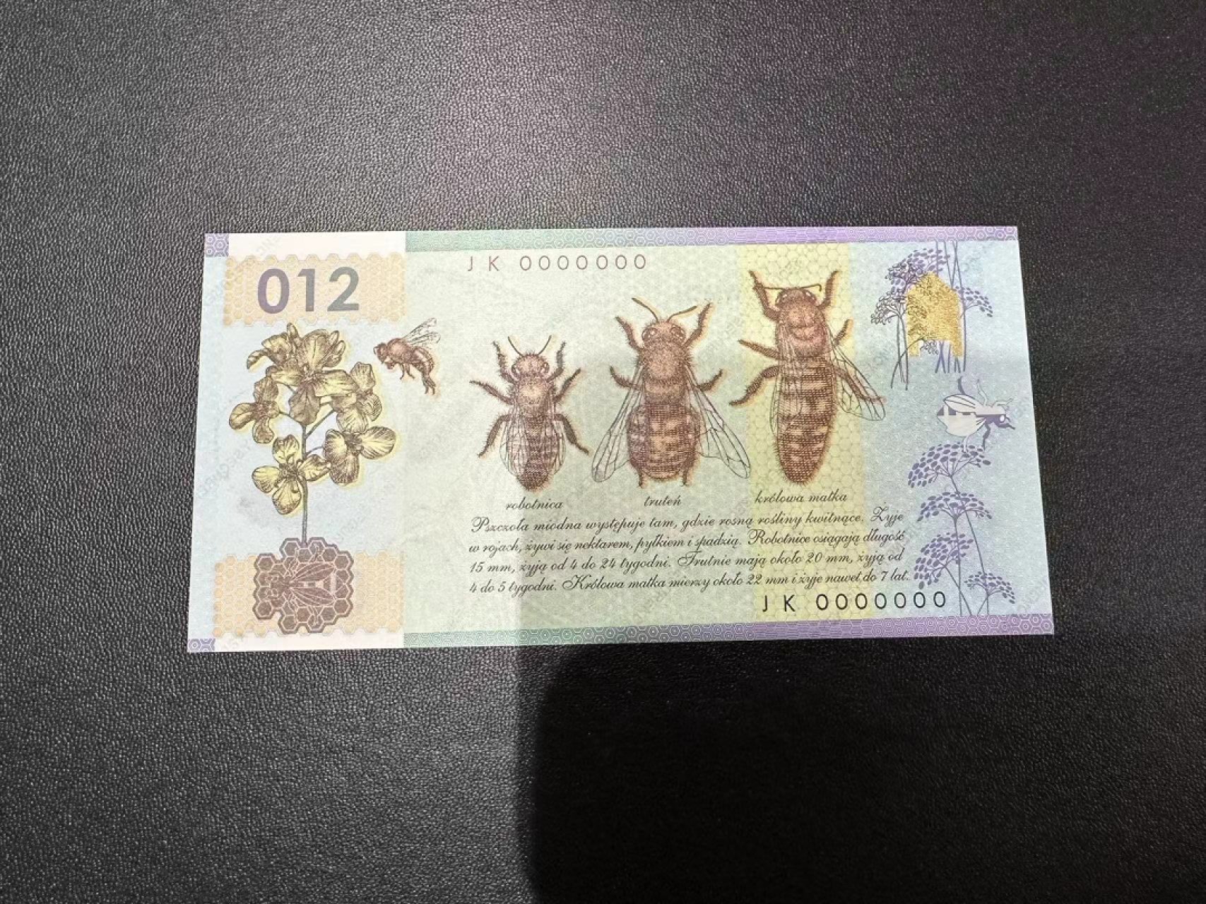 《外钞收藏家》第二百四十期（连拍第三场） 2012年波兰印钞厂测试钞 全新UNC