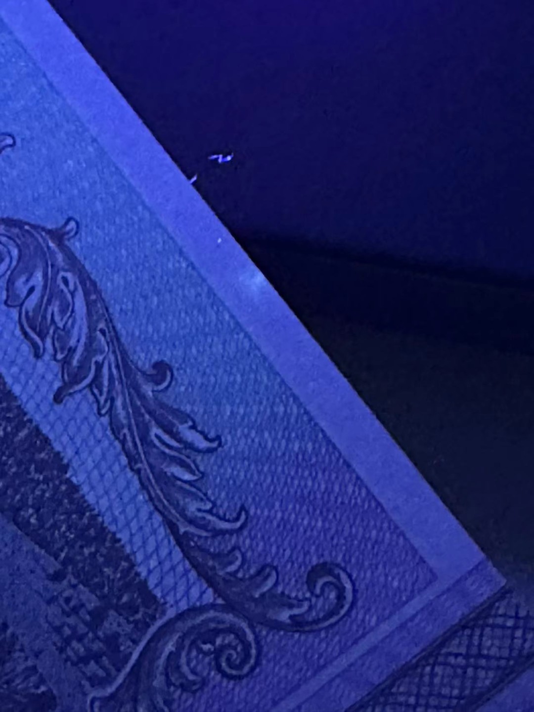 《外钞收藏家》第二百三十九期（罗马尼亚、保加利亚专场） 罗马尼亚1991/1993年1000列伊，共2枚	P101A全新/P102AU 有一个可忽略潮点