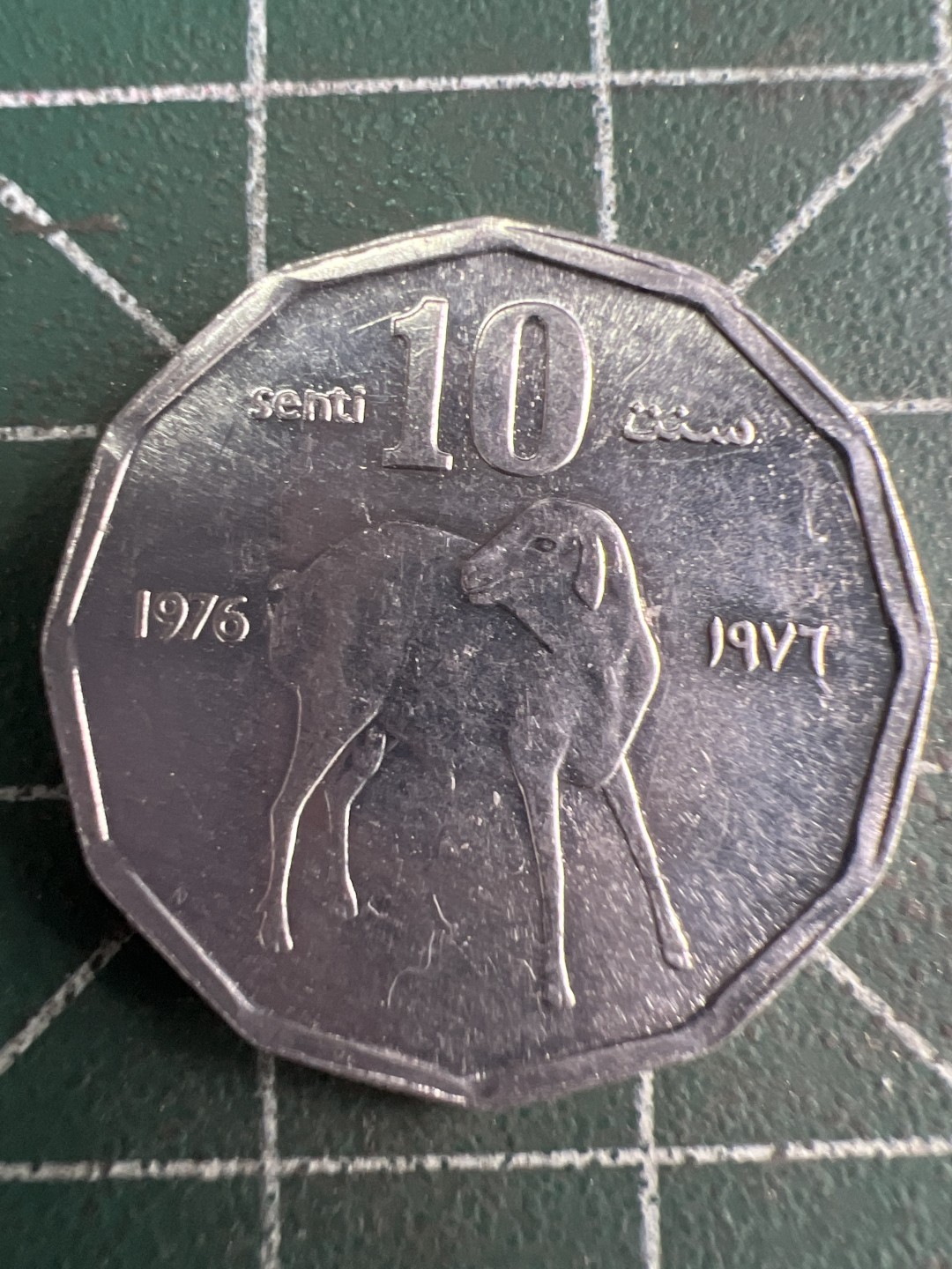 泡泡堂微拍第五十九幕硬币捡漏可累计专场👿👿，零佣金，零押金，累计满二十元包邮，接受代拍业务 索马里十分