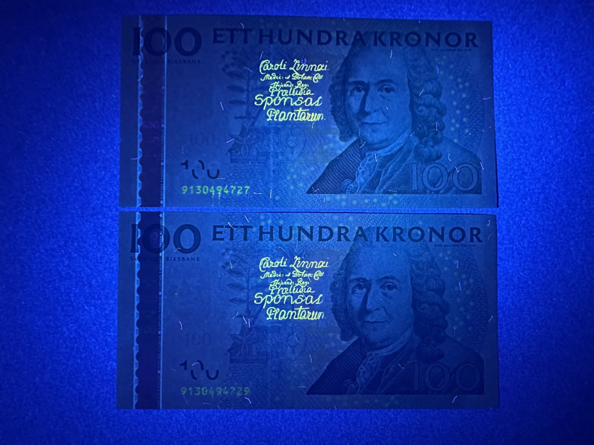 《张总收藏》89期——外币荟萃 欧洲精品 瑞典100克朗2张 UNC 2009年 瑞典自然科学家卡尔-冯-林奈