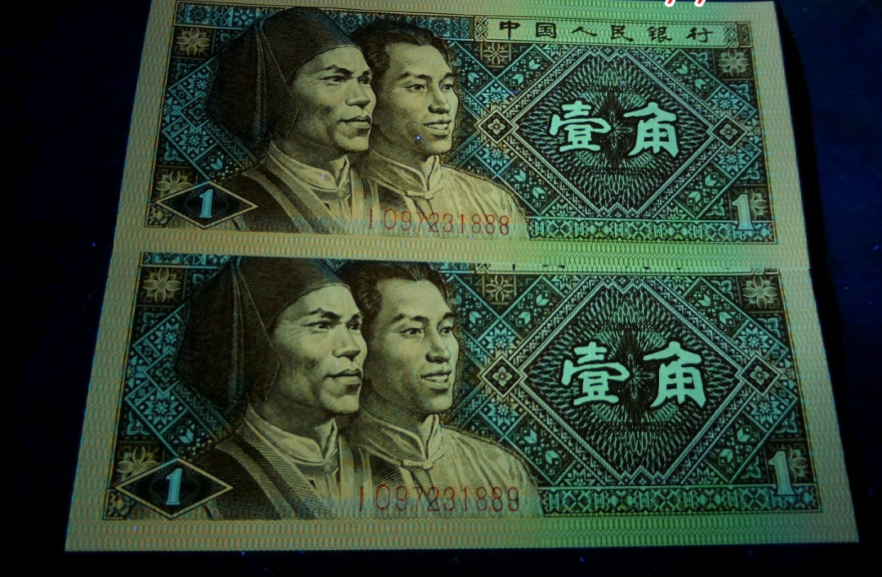 8001精品荧光币专场 8001IO数学冠翠金背红标十