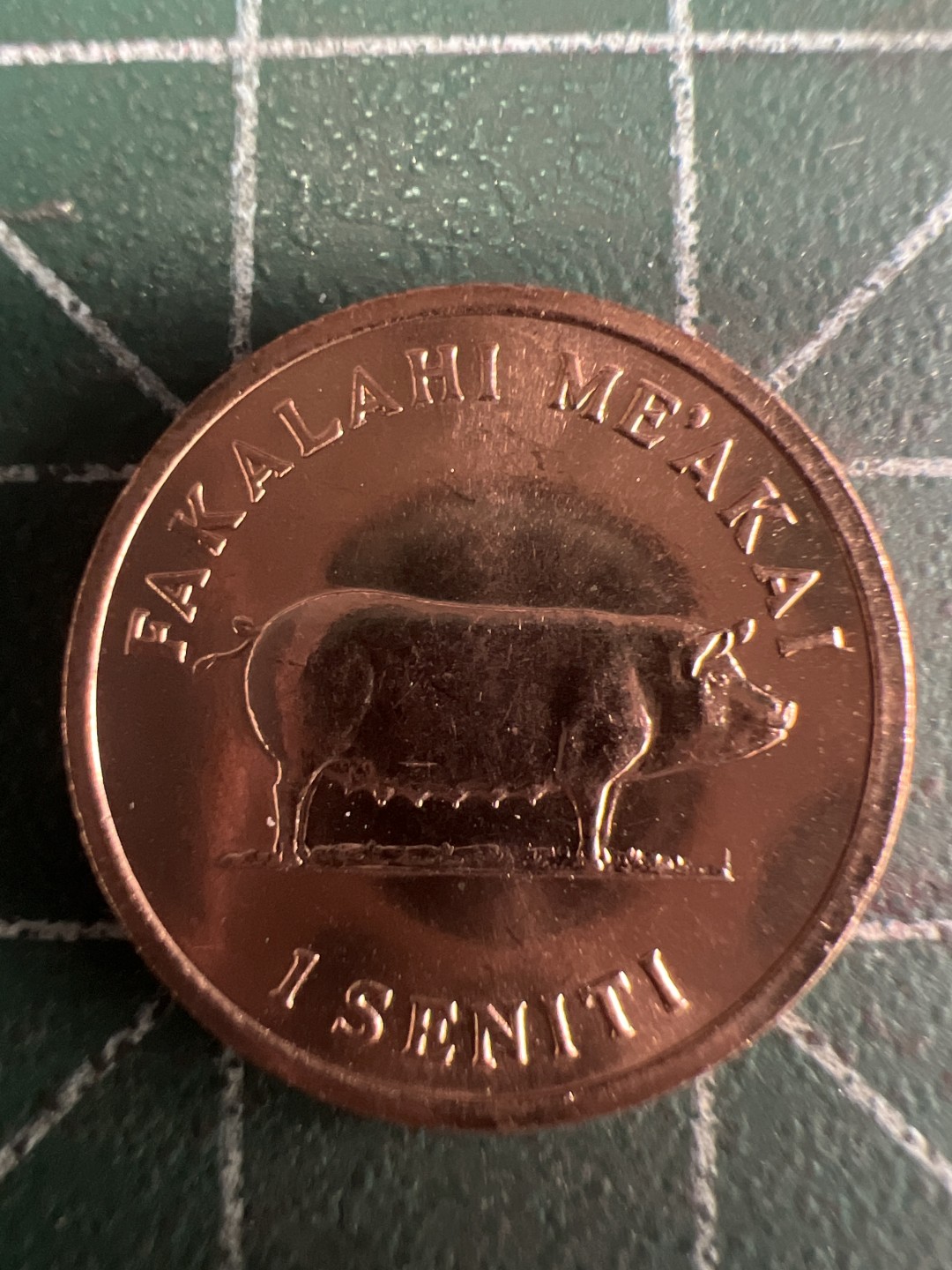 泡泡堂微拍第六十幕硬币捡漏可累计专场👿👿，零佣金，零押金，累计满二十元包邮，接受代拍业务 汤加小猪