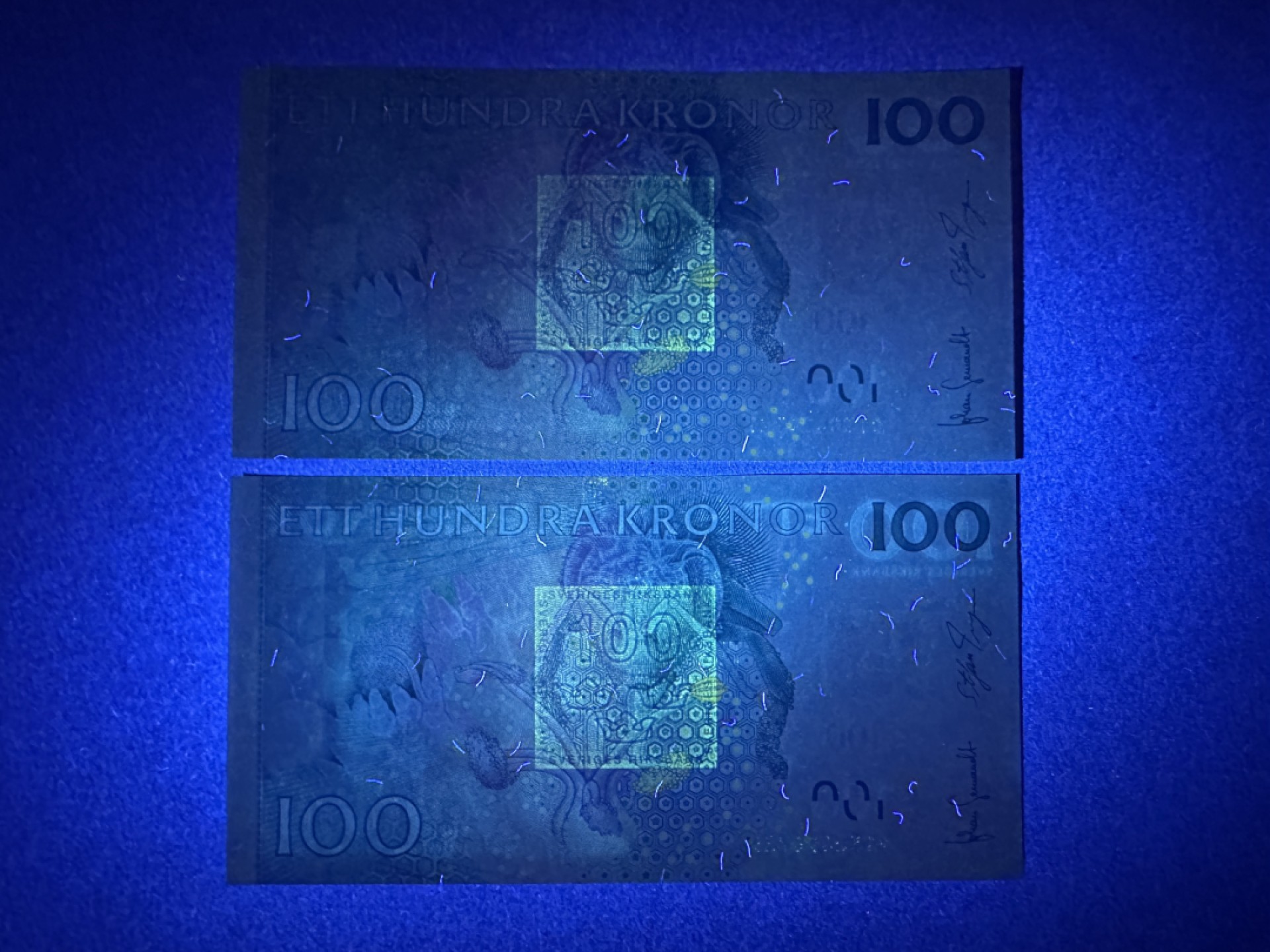 《张总收藏》89期——外币荟萃 欧洲精品 瑞典100克朗2张 UNC 2009年 瑞典自然科学家卡尔-冯-林奈