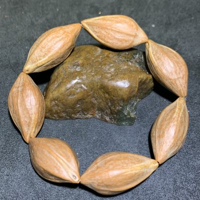 野生原皮原籽三花六棱大橄榄核单圈手串一条，， - 野生原皮原籽三花六棱大橄榄核单圈手串一条，，