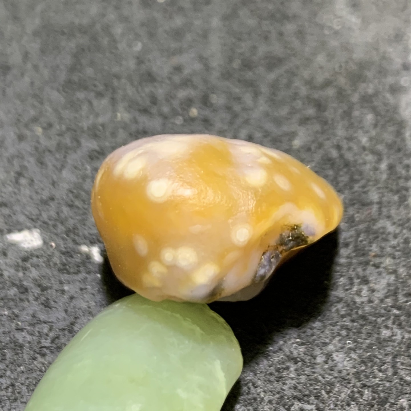 精美阿拉善白眼石玛瑙原石一颗，