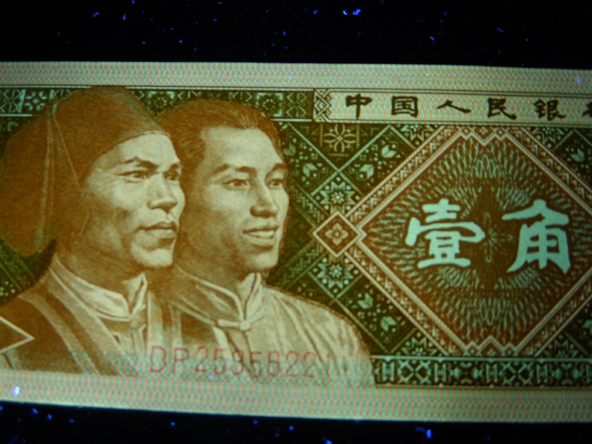 8001精品荧光币专场
