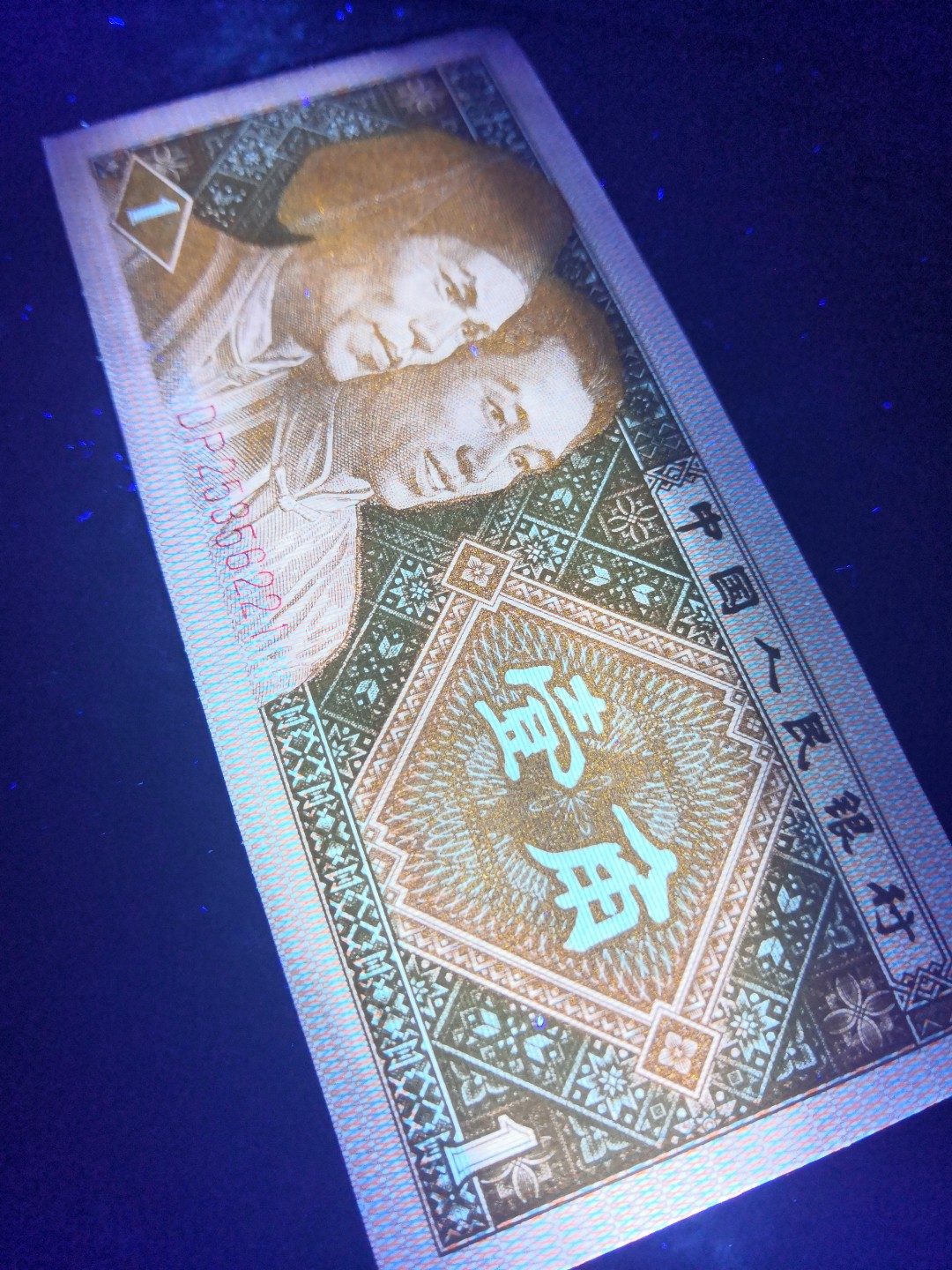 8001精品荧光币专场