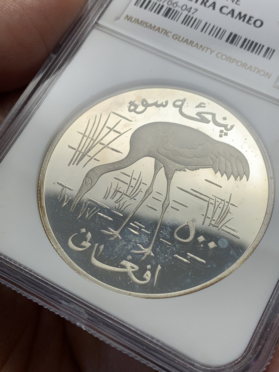 《竞宝斋》第134场-周日，周一连拍 (全场包邮)