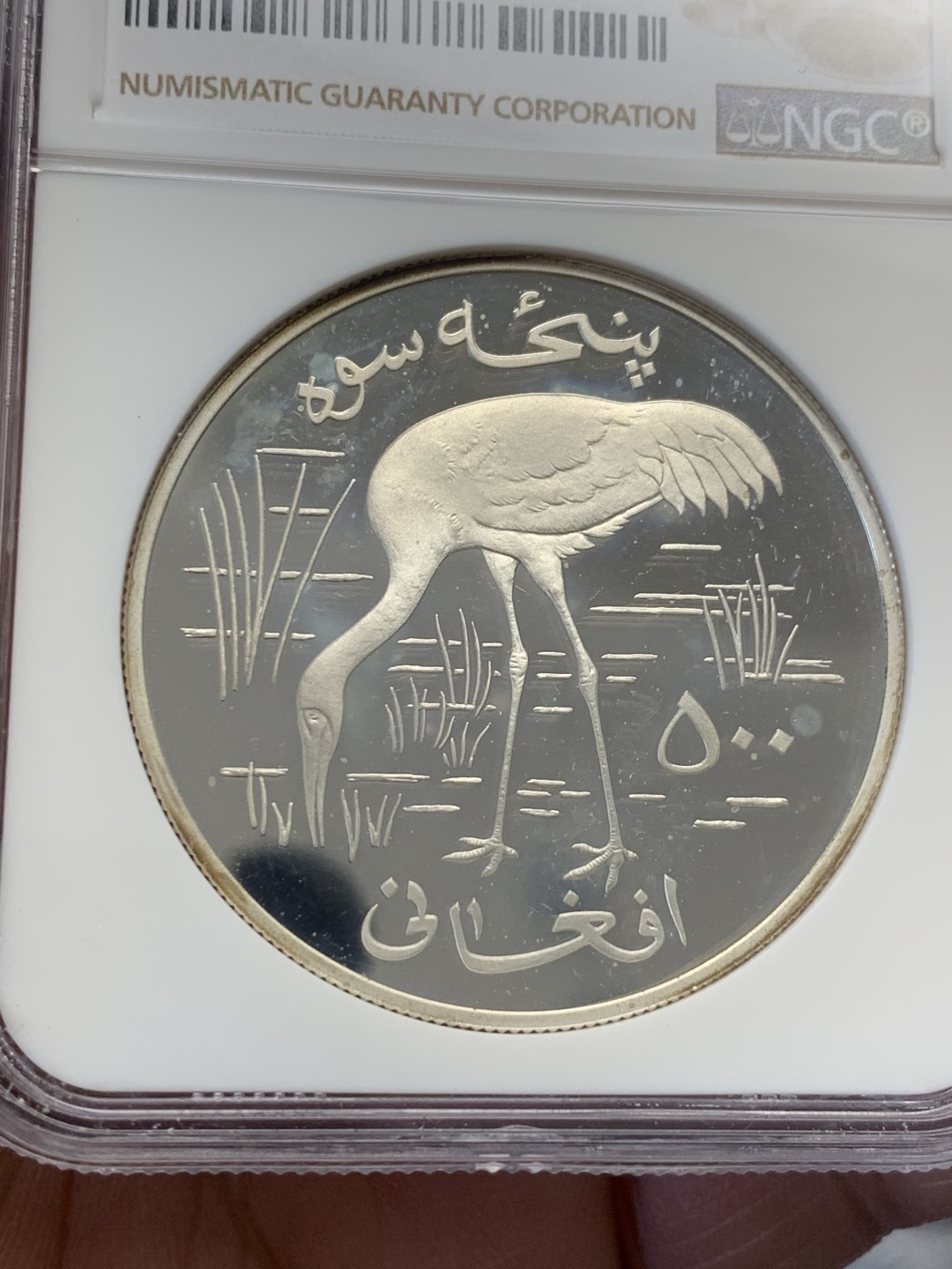 《竞宝斋》第134场-周日，周一连拍 (全场包邮)