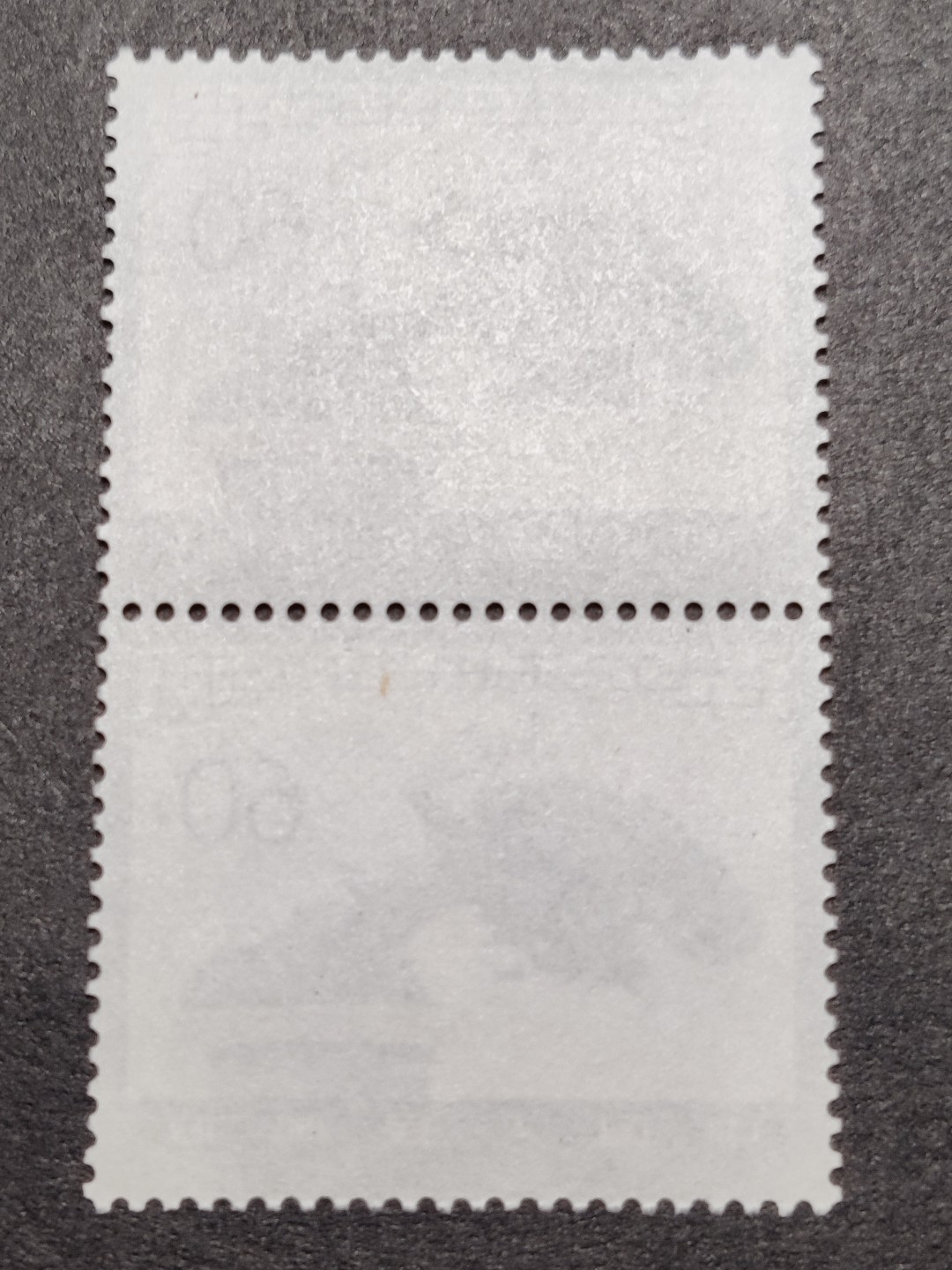 洪涛臻品批发群 精选邮票限时拍卖第九百八十期  T61盆景60分大筋双联 面艳背白票挺 新票原胶全品