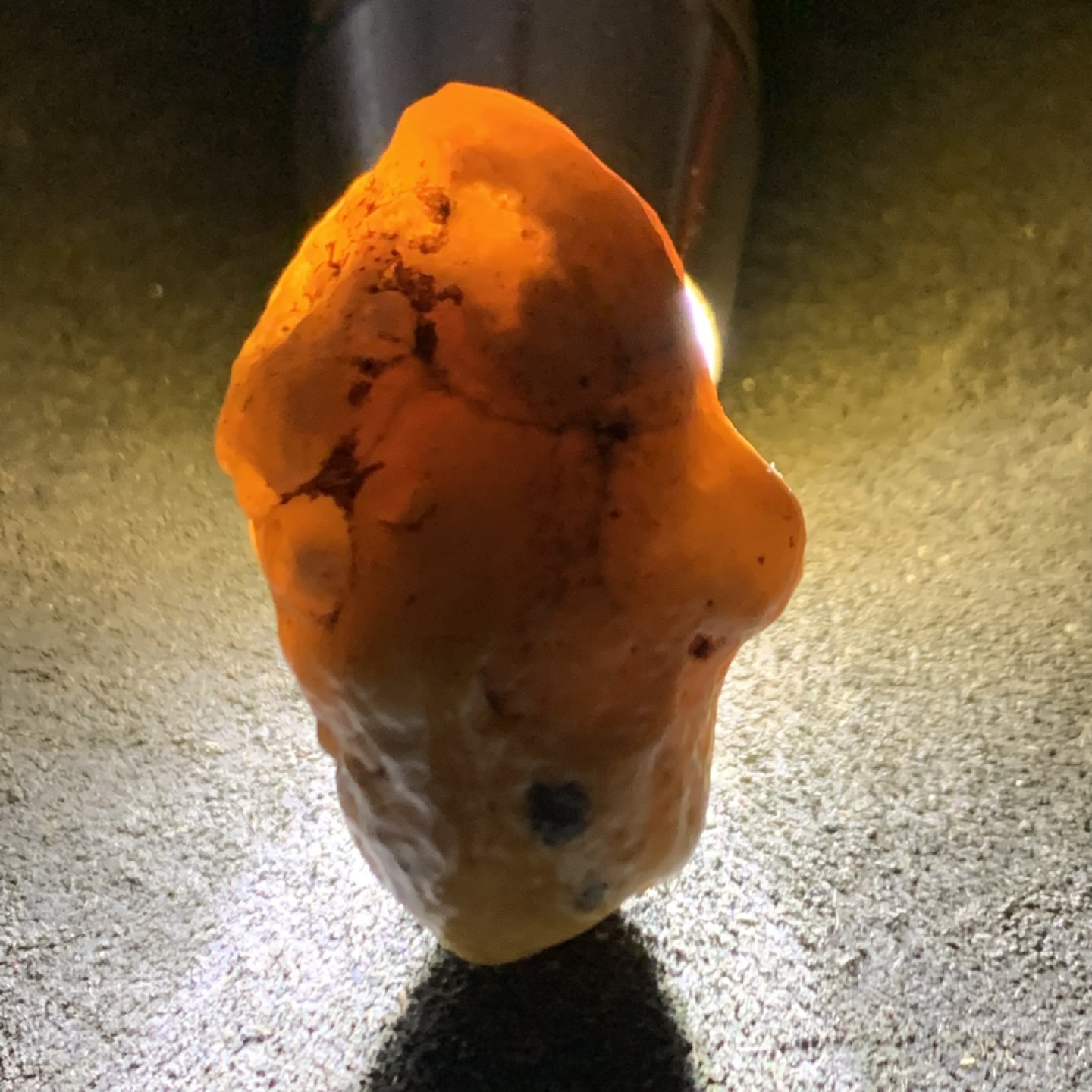 精美戈壁高玉化筋脉石原石一颗