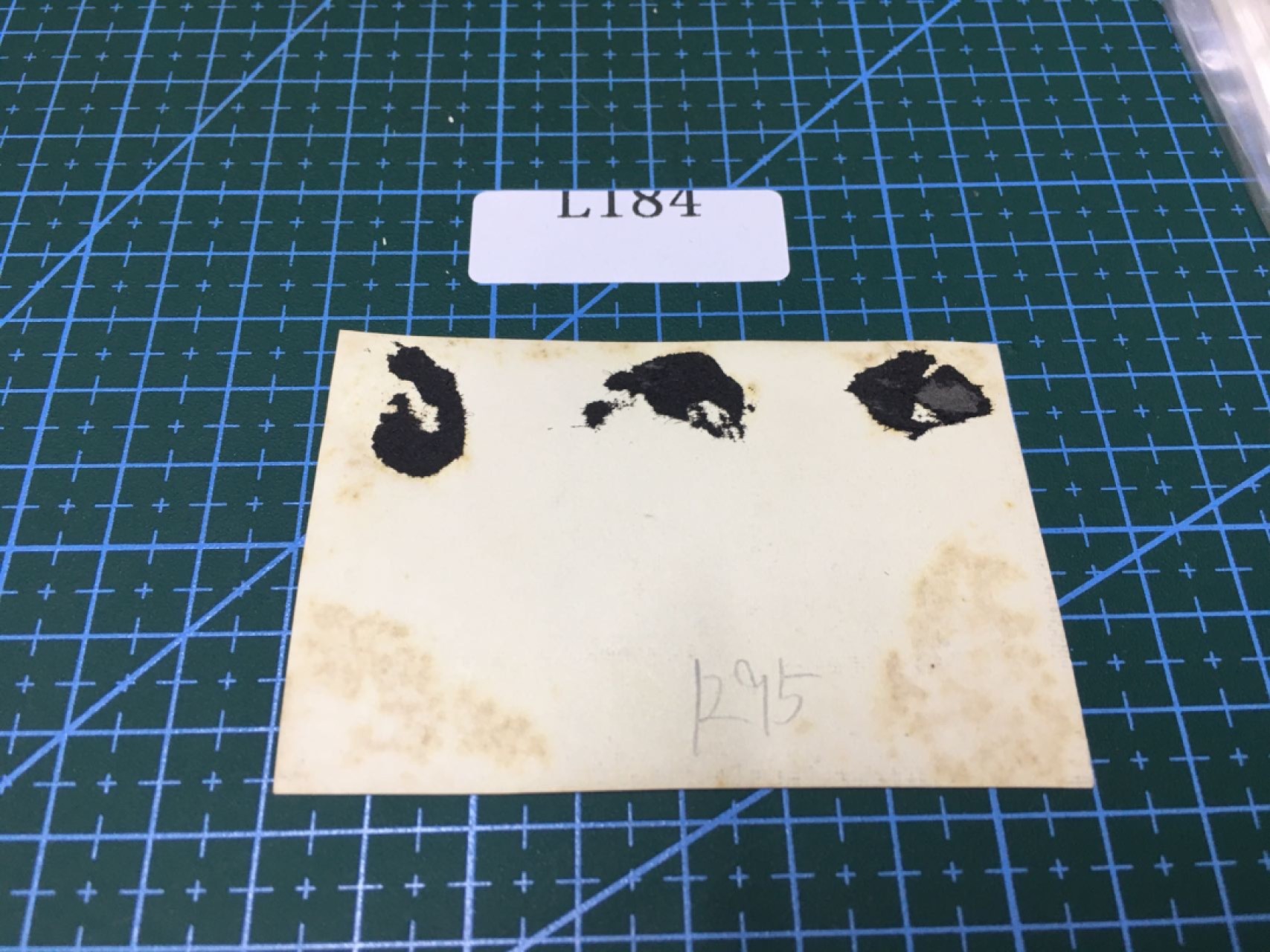 日本老照片L184 日本老照片R95