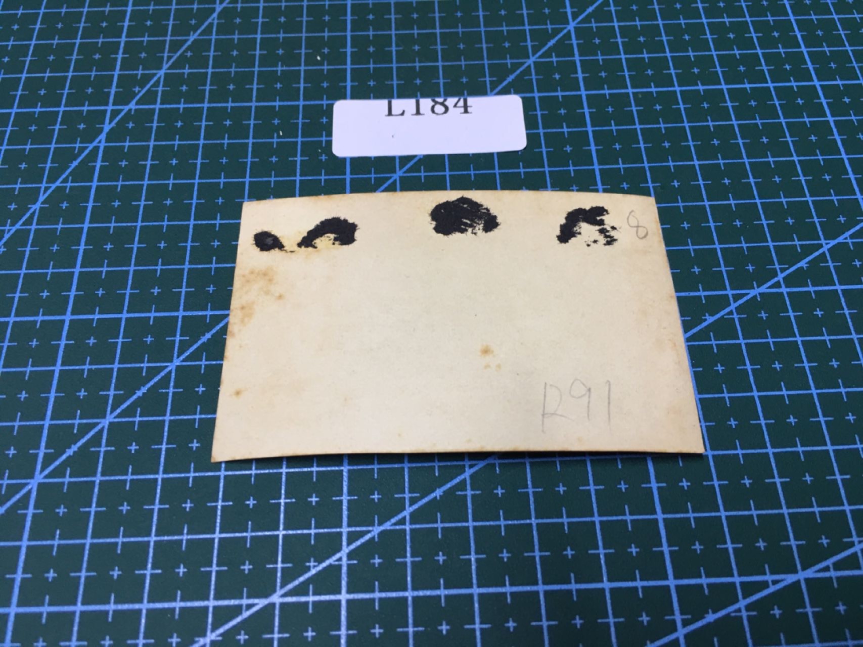 日本老照片L184 日本老照片R91