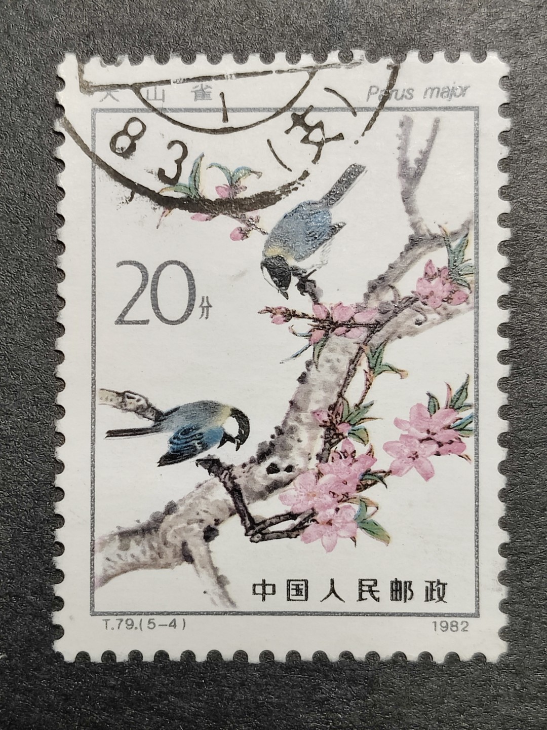 洪涛臻品批发群 精选邮票限时拍卖第九百八十一期  T79益鸟20分 面艳背白票挺无人为 信销近全品 
