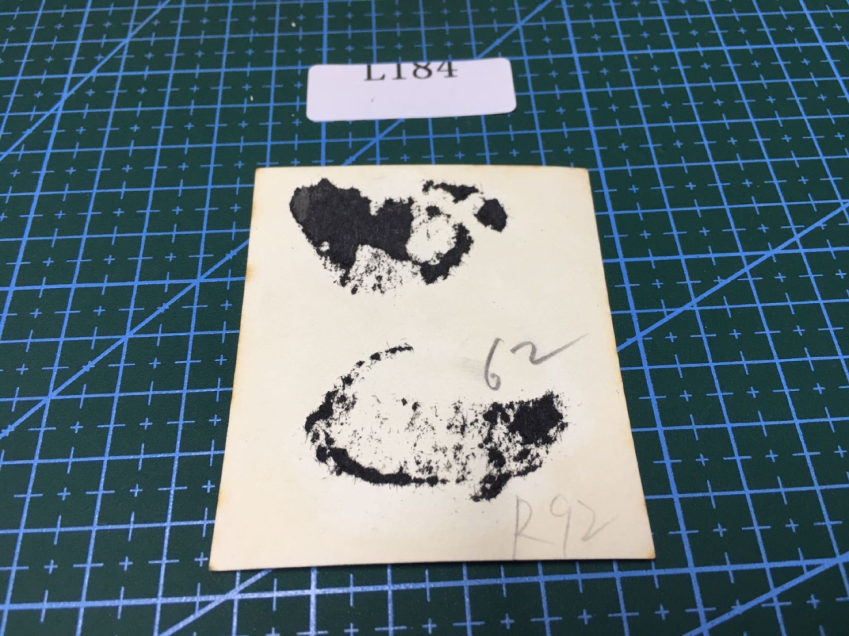 日本老照片L184 日本老照片R92