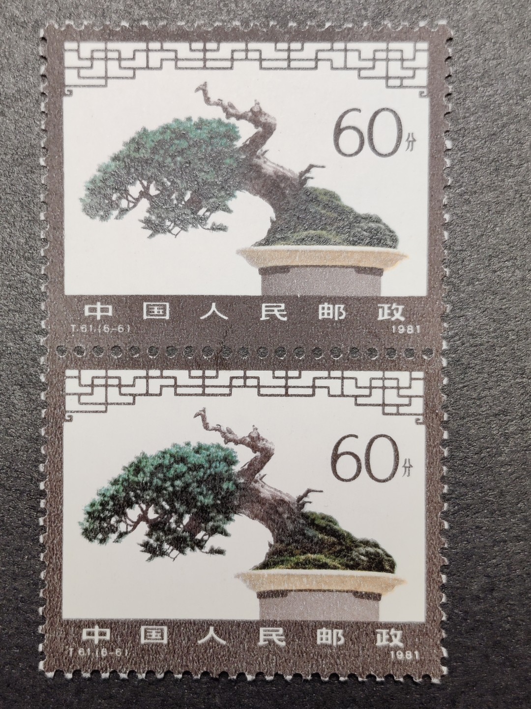 洪涛臻品批发群 精选邮票限时拍卖第九百八十期  T61盆景60分大筋双联 面艳背白票挺 新票原胶全品
