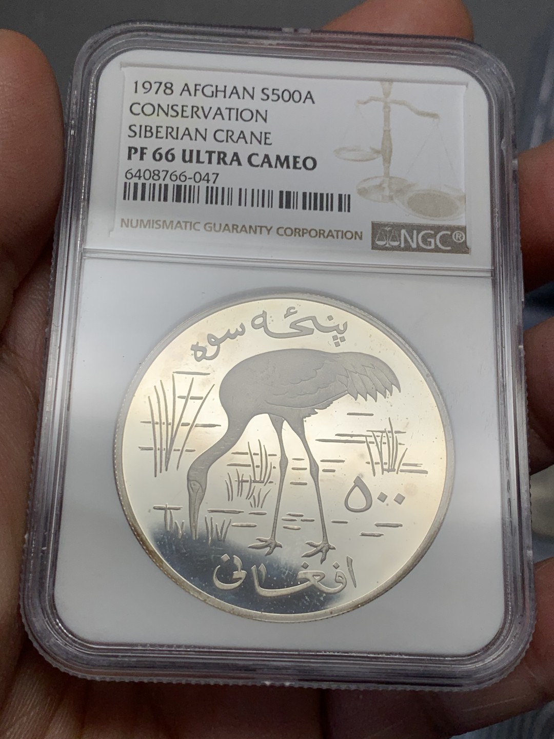 《竞宝斋》第134场-周日，周一连拍 (全场包邮)