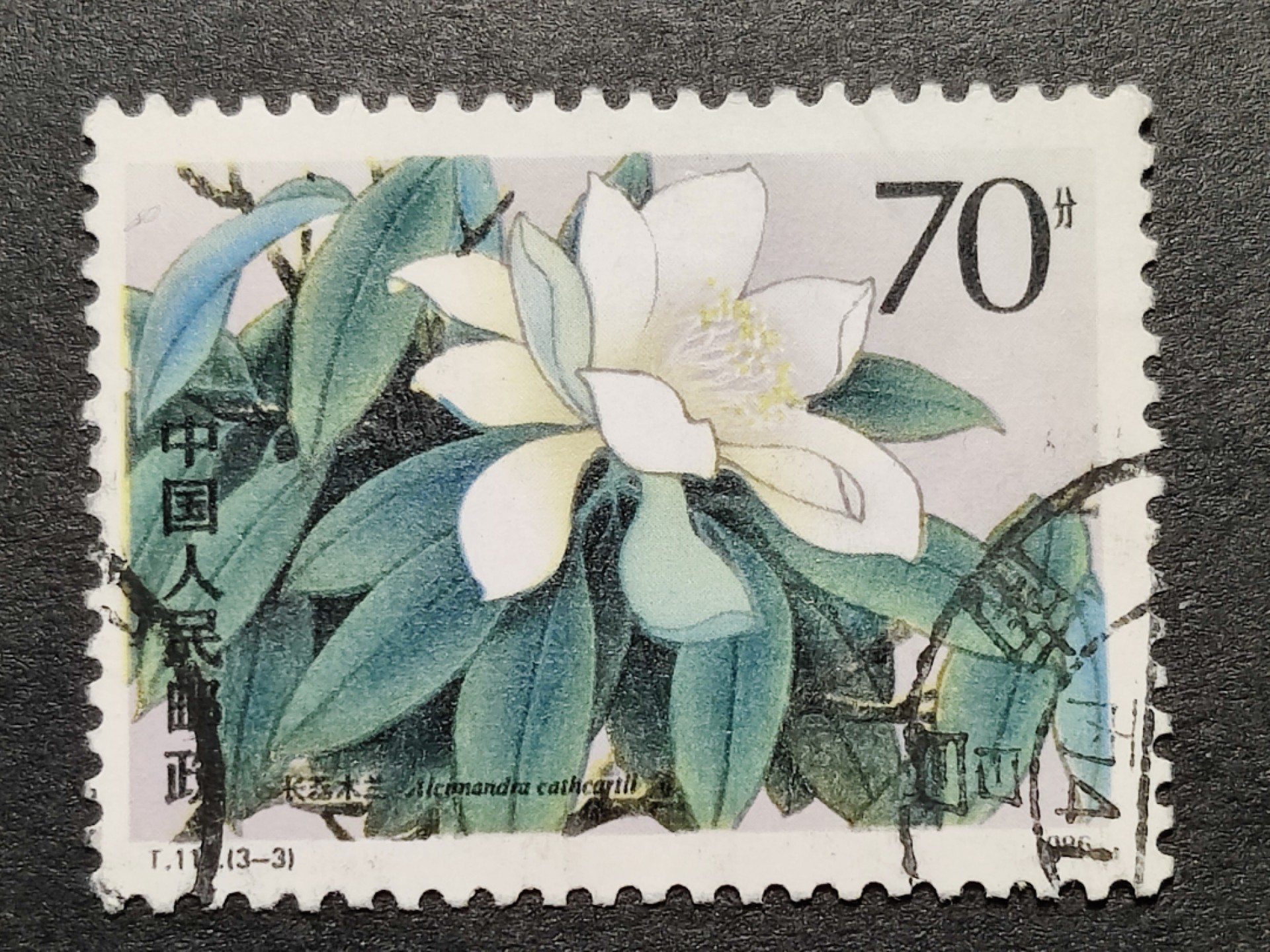 洪涛臻品批发群 精选邮票限时拍卖第九百八十一期  T111木兰70分大筋 面艳背白票挺无人为 信销全品 
