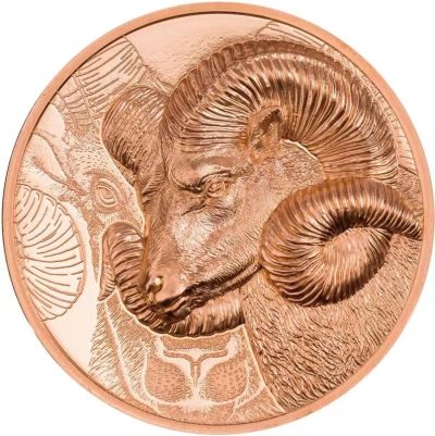 蒙古2022年盘羊双面高浮雕加厚大铜币 - 蒙古2022年盘羊双面高浮雕加厚大铜币