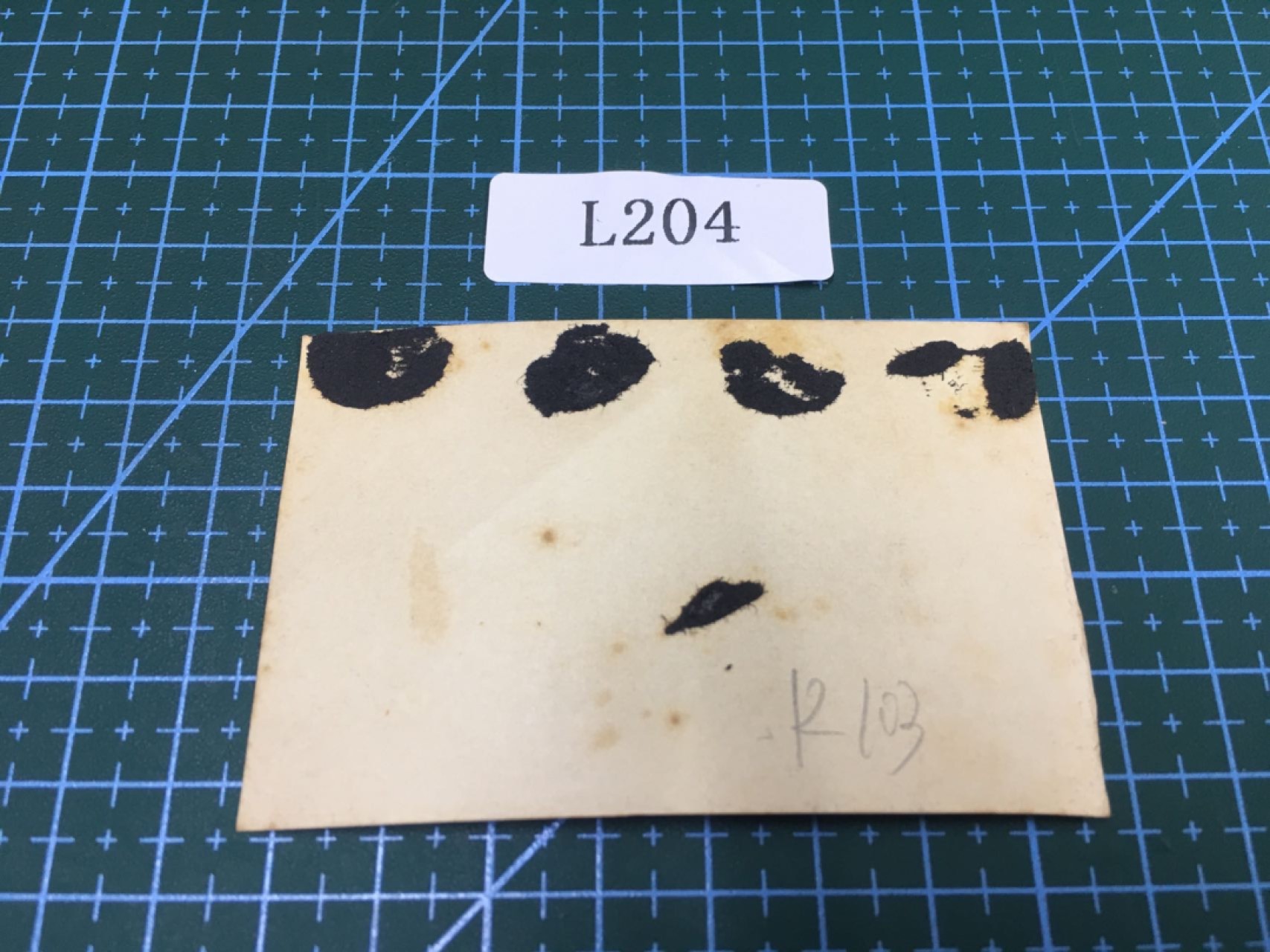 日本老照片L204  日本老照片R103