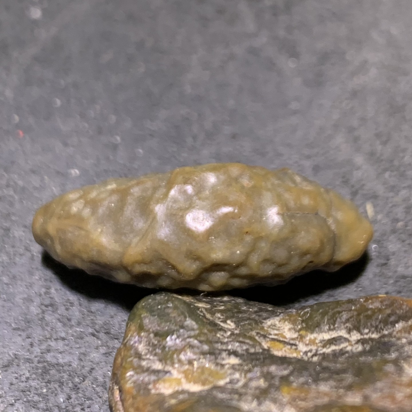 精美戈壁筋脉石原石一颗