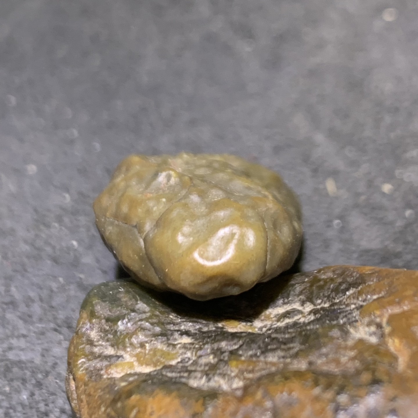 精美戈壁筋脉石原石一颗
