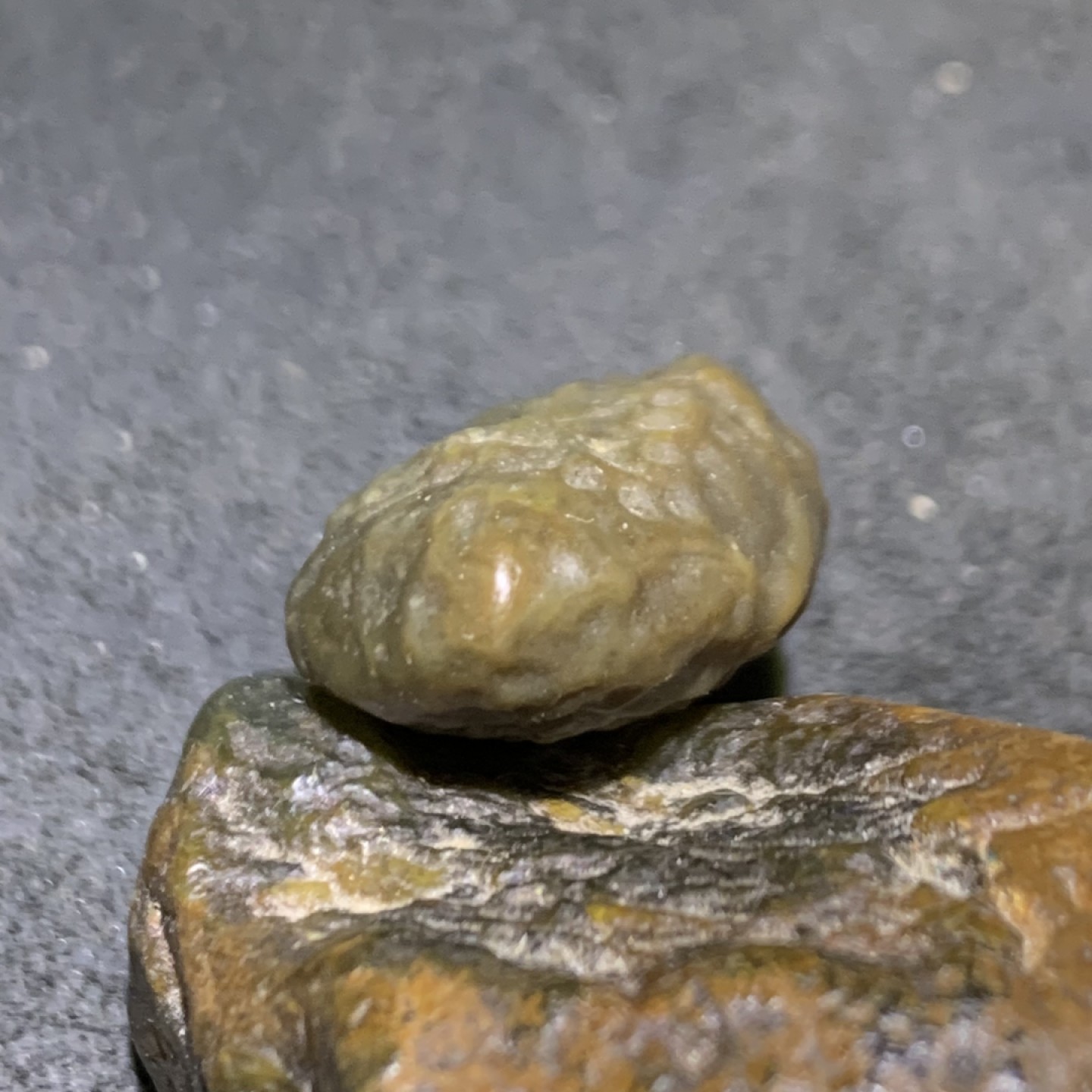 精美戈壁筋脉石原石一颗