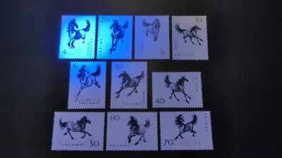 洪涛臻品批发群  精选邮票限时拍卖第一百七十四期 T28奔马 原胶润亮！面艳背白票挺！完美过灯！请见正反紫光灯视频 -3几粒齿微弱 余皆全品【2月9日邮商收购价600元,成交价见到1100元】