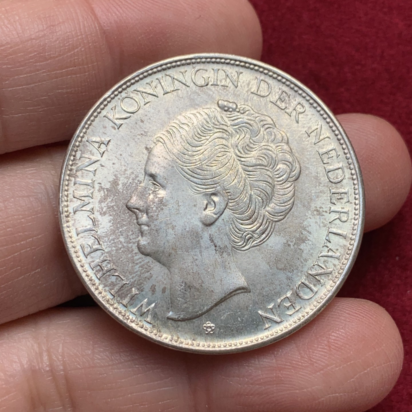 《竞宝斋》第135场-周日，周一连拍 (全场包邮) 荷属安的列斯群岛 库拉索岛 1944年 威廉敏娜 I  2½古尔登银币 丹佛铸币厂制造 开卷原光品相 25g大银币