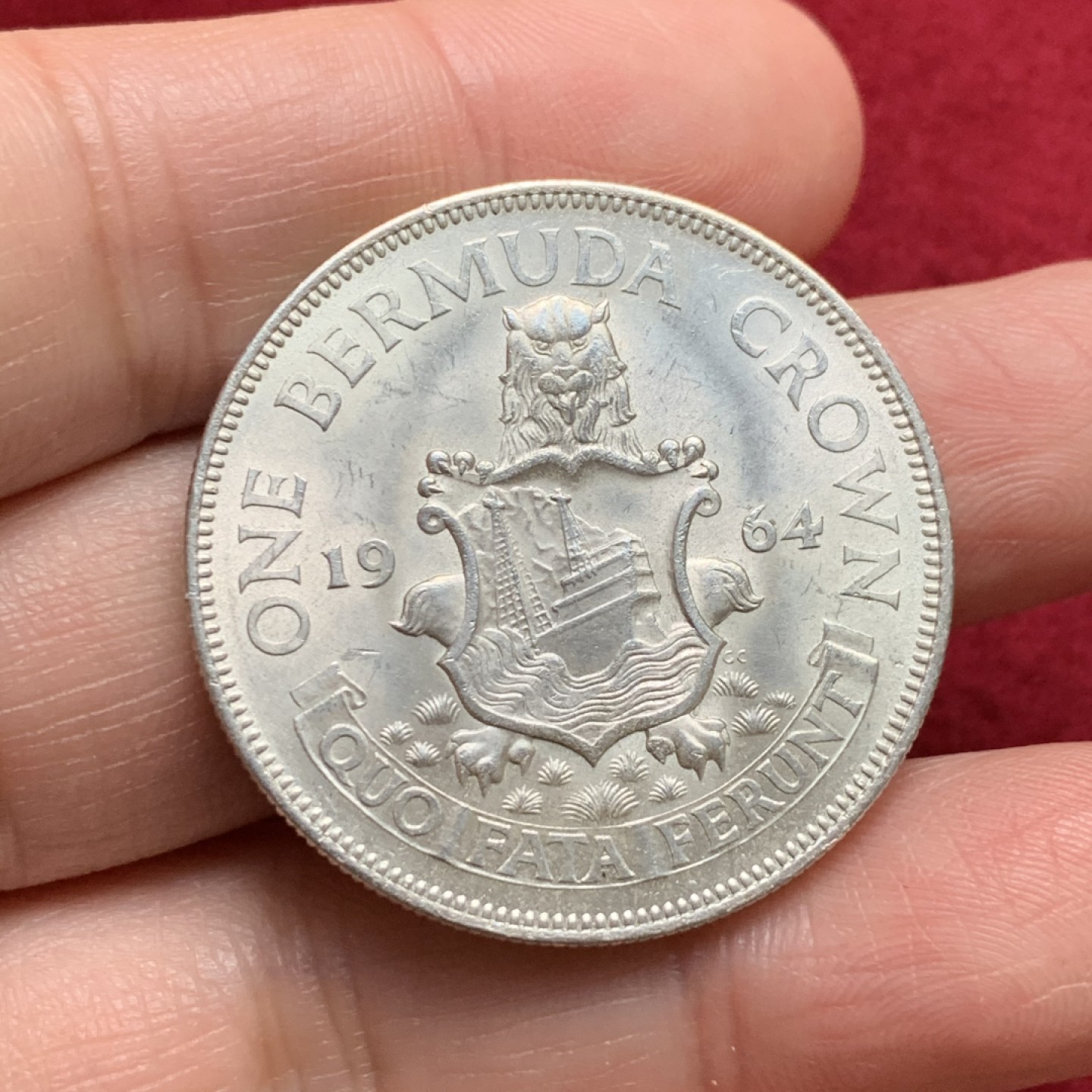 《竞宝斋》第135场-周日，周一连拍 (全场包邮) 百慕大英国殖民地 1964年 伊丽莎白二世 1crown银币 由皇家铸币厂铸造