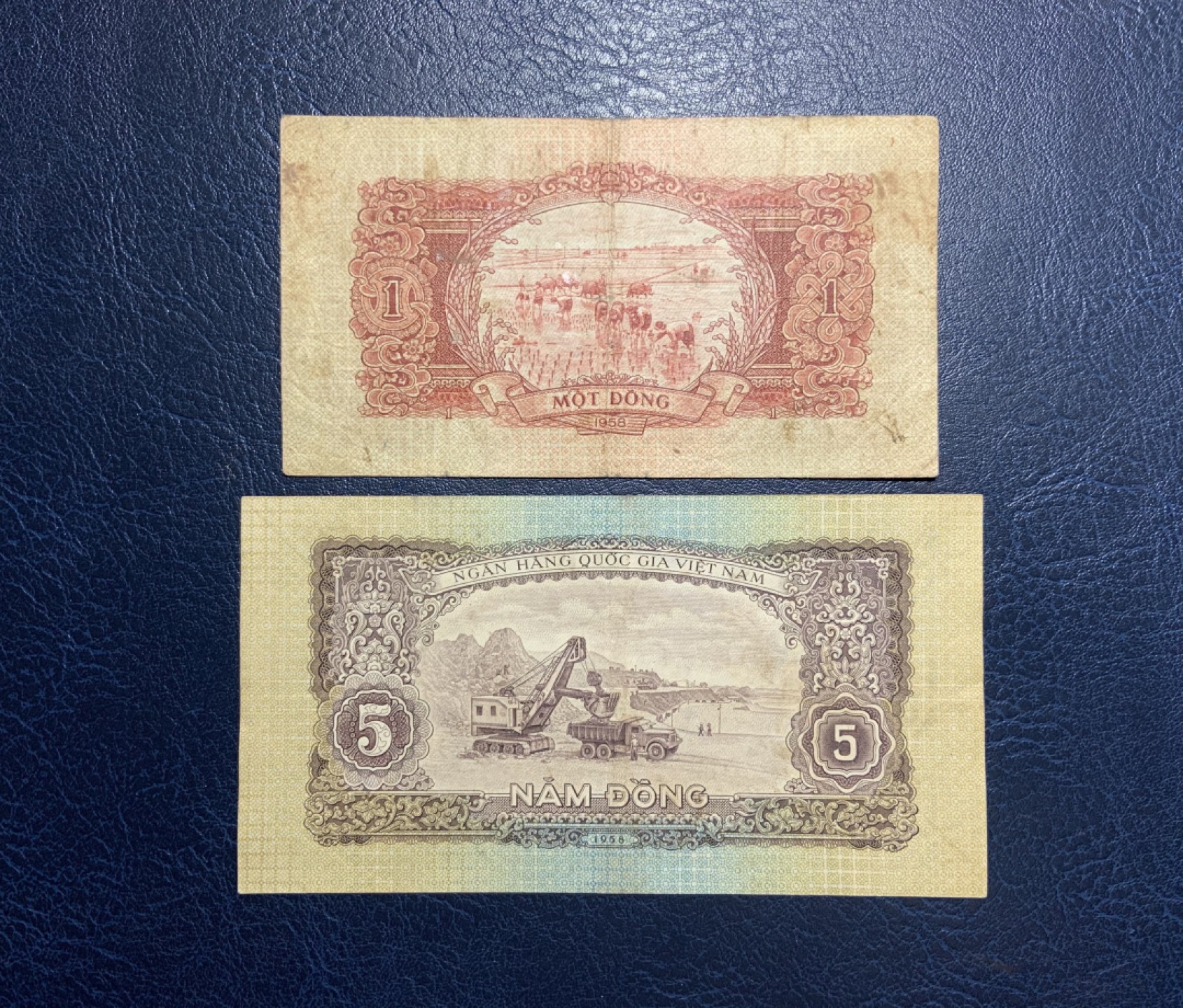 收藏联盟Quantum Auction 第233期拍卖 越南1958年1和5盾 品相如图 中国代印