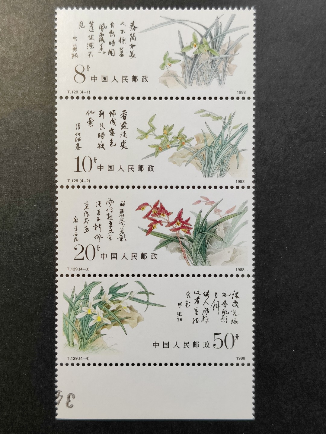 洪涛臻品批发群  精选邮票限时拍卖第一百七十七期 T129兰花 新全套 以前初中英语课本中介绍的中国邮票 原胶润亮！部分版号边 联票间齿孔无折！ 完美过灯！OG全品！