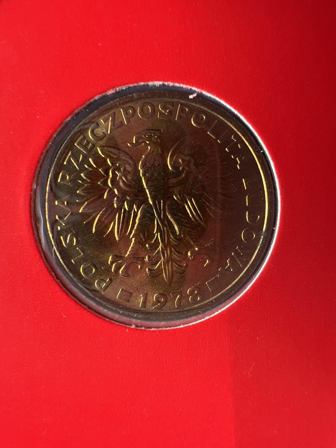 泡泡堂微拍第六十三幕硬币捡漏可累计专场👿👿，零佣金，零押金，累计满二十元包邮，接受代拍业务 邮币封波兰