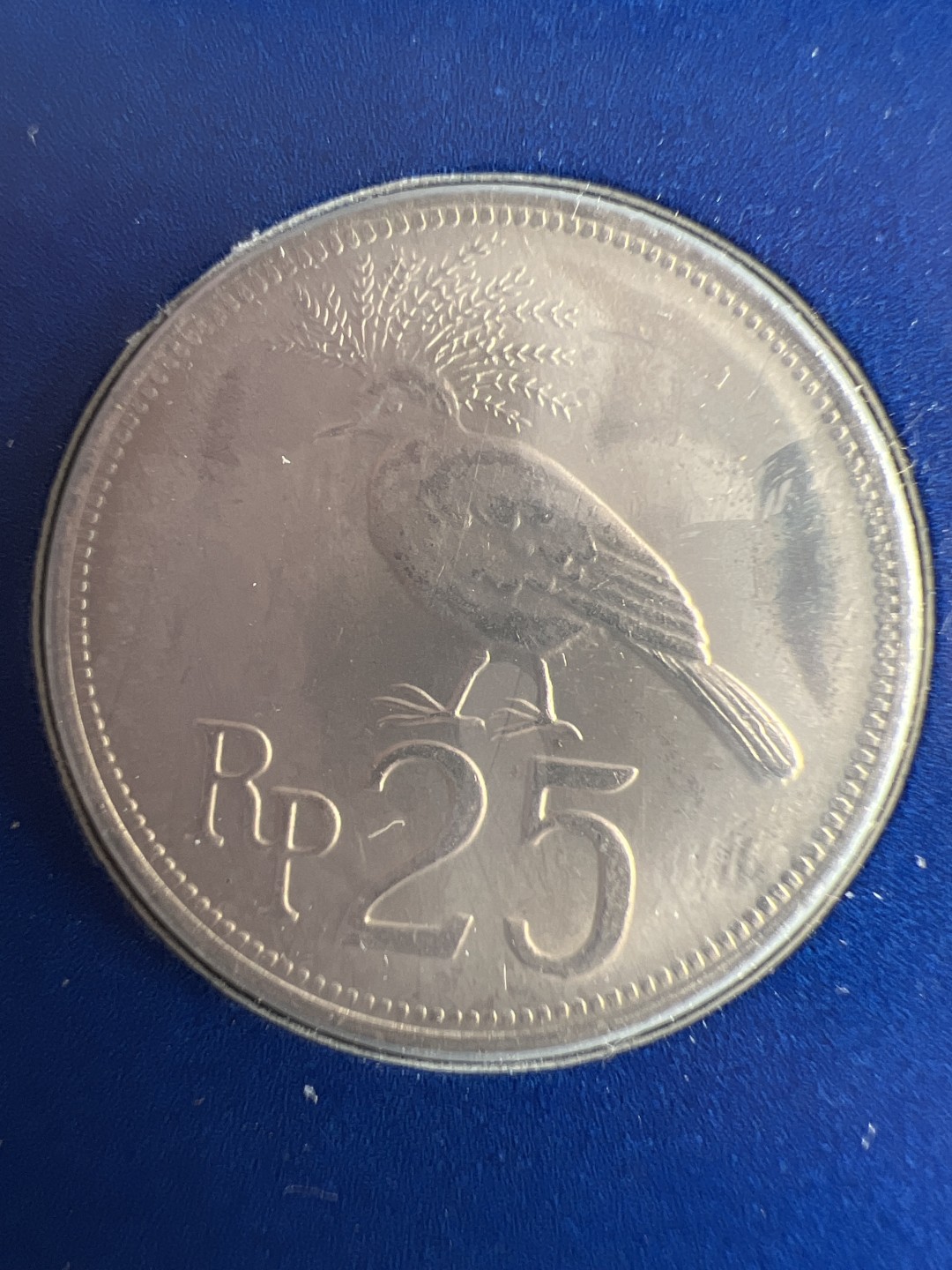 泡泡堂微拍第六十三幕硬币捡漏可累计专场👿👿，零佣金，零押金，累计满二十元包邮，接受代拍业务 邮币封印尼