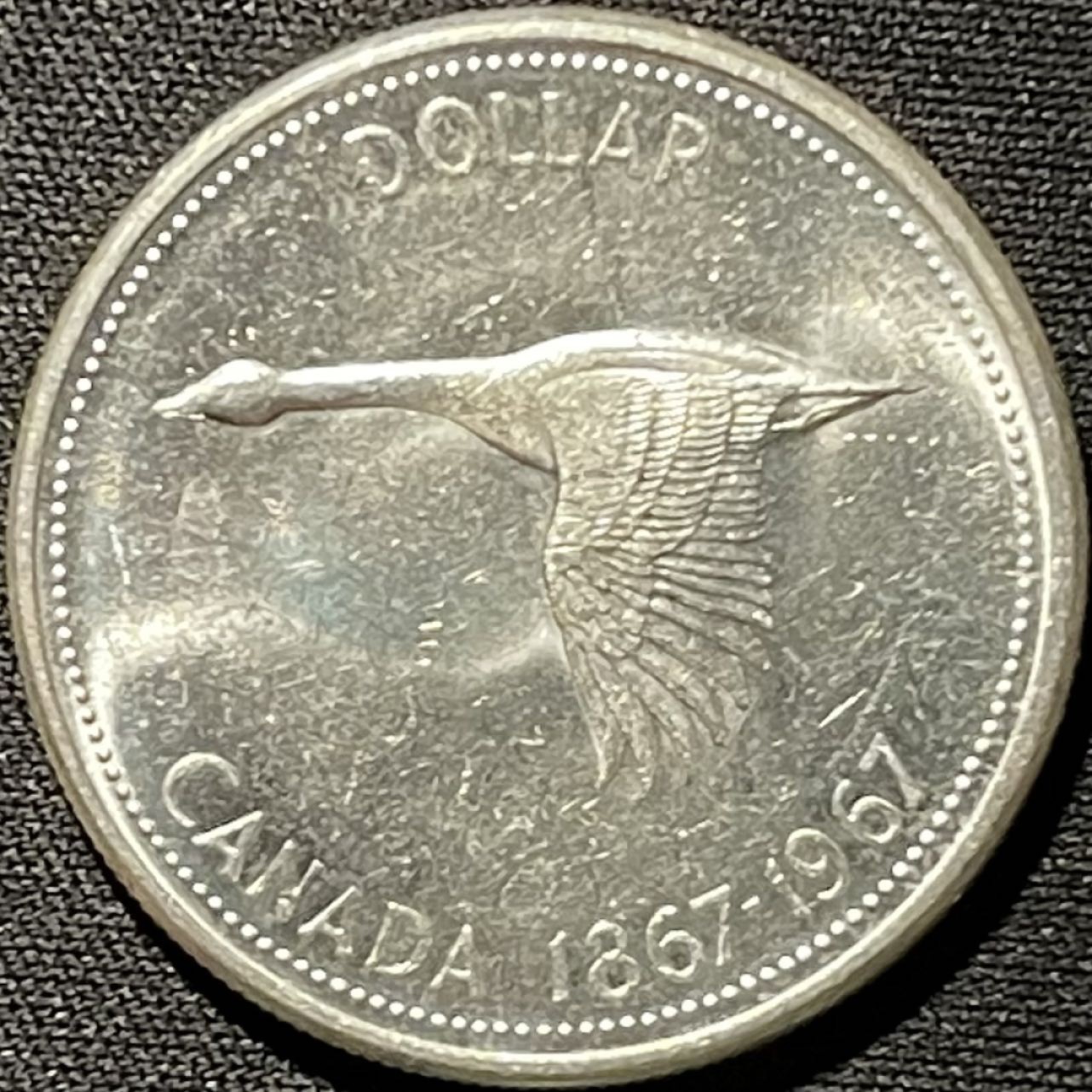 紫瑗钱币——第262期拍卖 加拿大 1967年 伊丽莎白二世 建国百年 大雁 1元 23.5克 0.8银 UNC