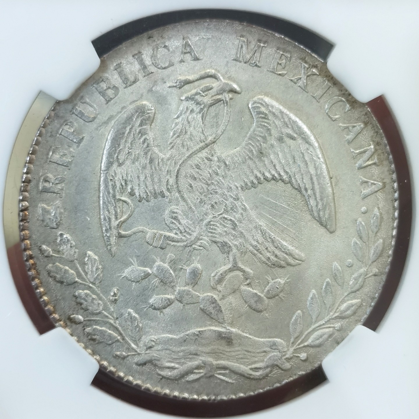 博洋堂世界钱币拍卖第016期（全场包邮） NGC MS64 墨西哥1877年PI MH版花边鹰洋 少见中期Pi厂 唯一冠军分 光芒透打