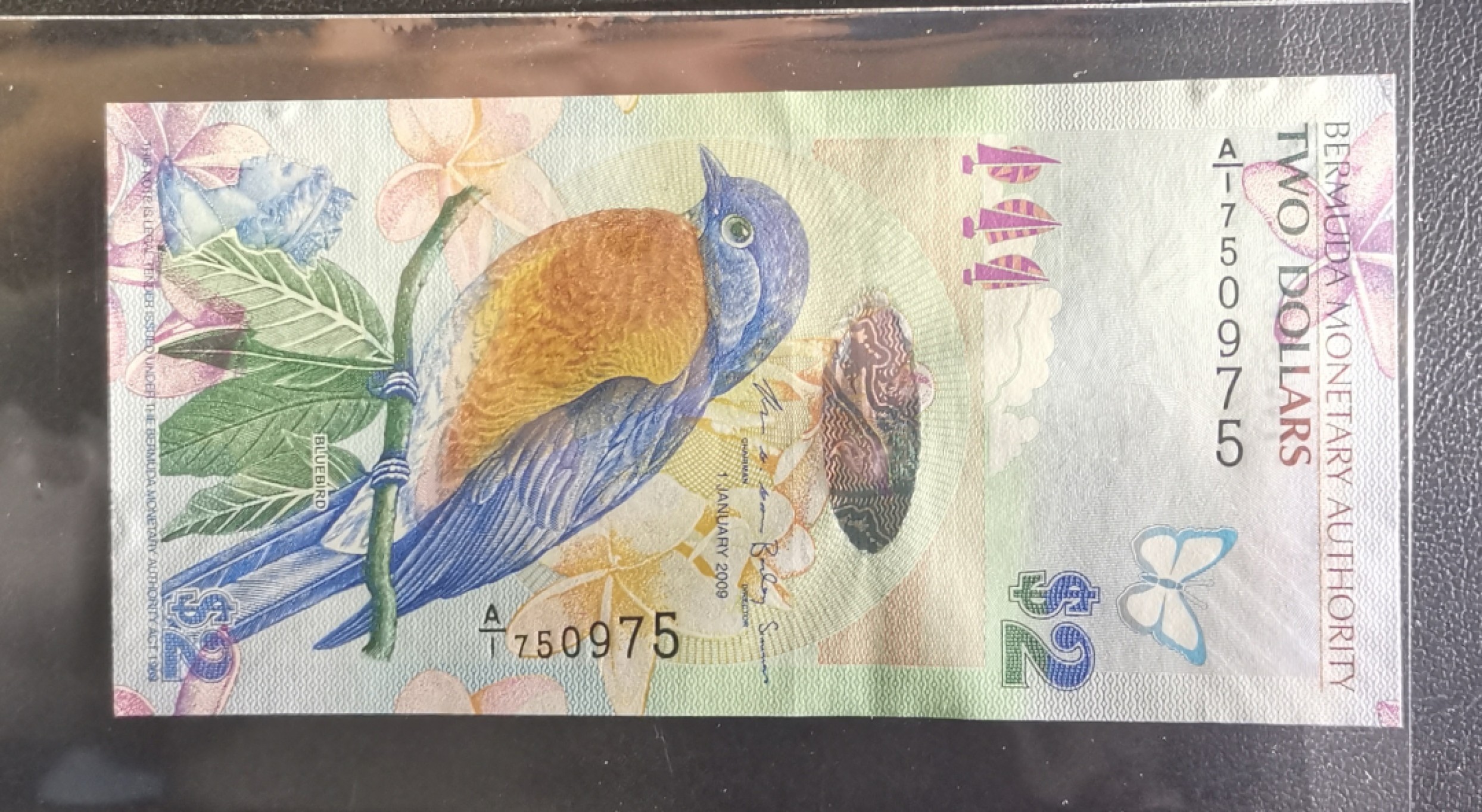 《张总收藏》90期——浓缩外币精品场 百慕大2009年2元A1冠UNC无4 漂亮的蓝鸟 IBNS世界最佳纸币获奖钞