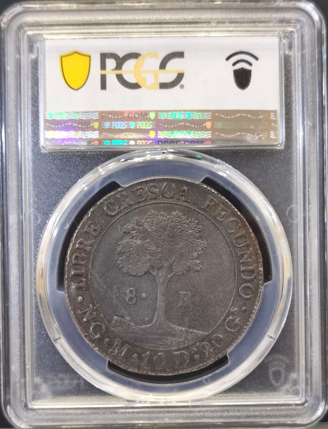 博洋堂世界钱币拍卖第016期（全场包邮） PCGS AU53 中美洲危地马拉1825年太阳脸小树8里亚尔 五彩原光  收藏热门