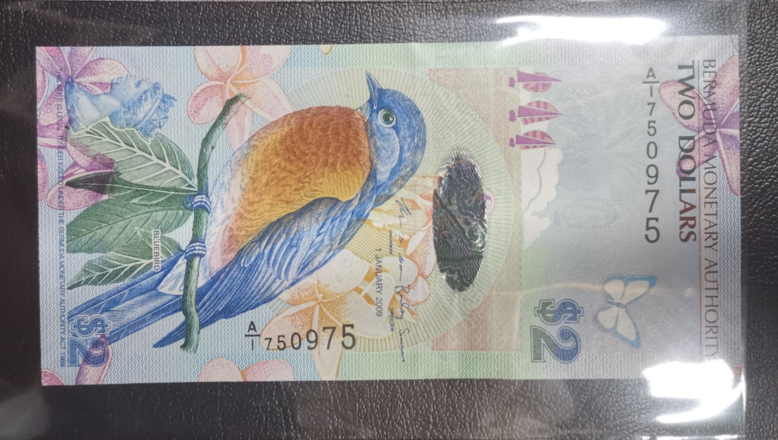 《张总收藏》90期——浓缩外币精品场 百慕大2009年2元A1冠UNC无4 漂亮的蓝鸟 IBNS世界最佳纸币获奖钞