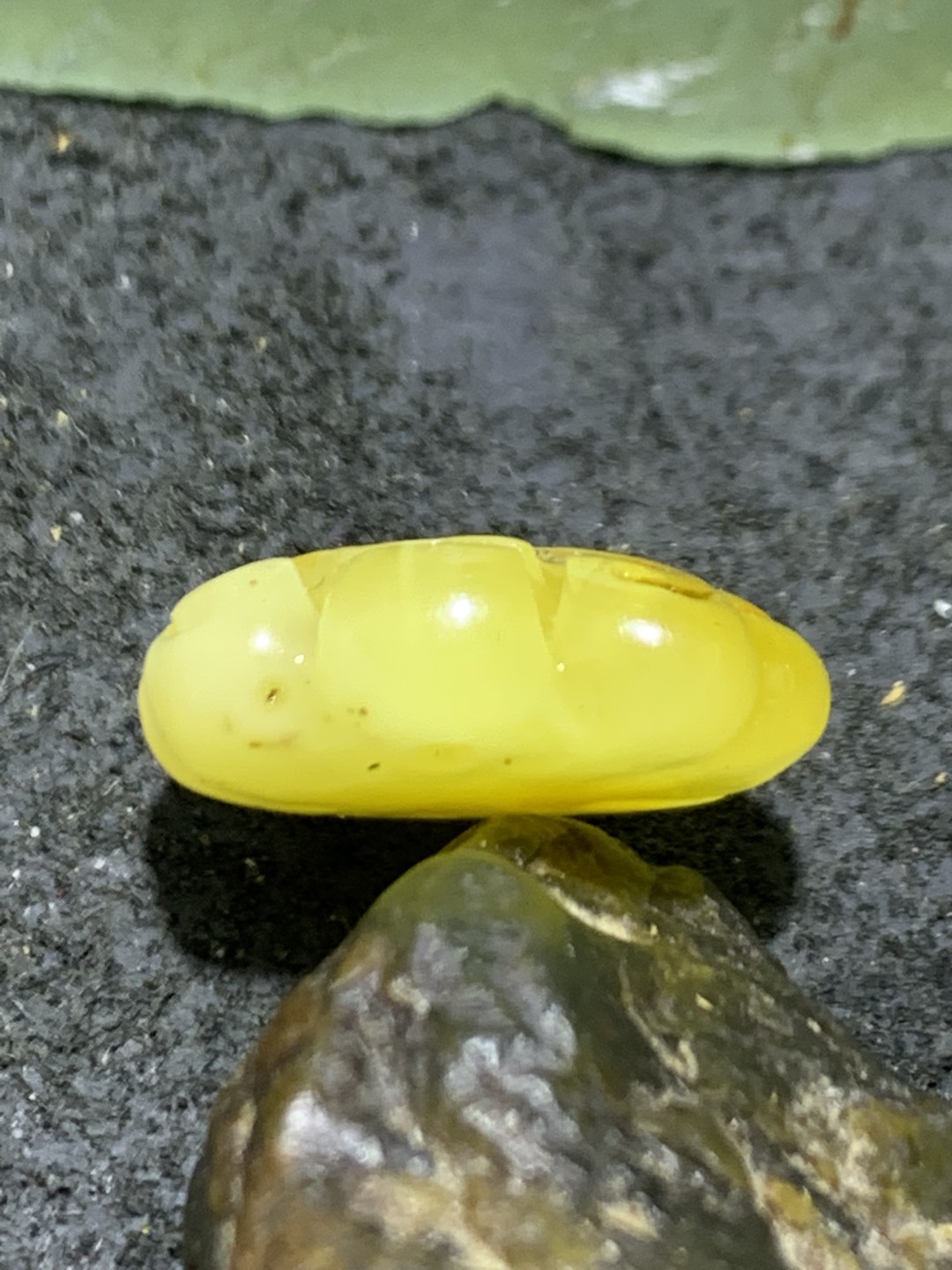 天然俄料蜜蜡雕刻福字随形吊坠一个，