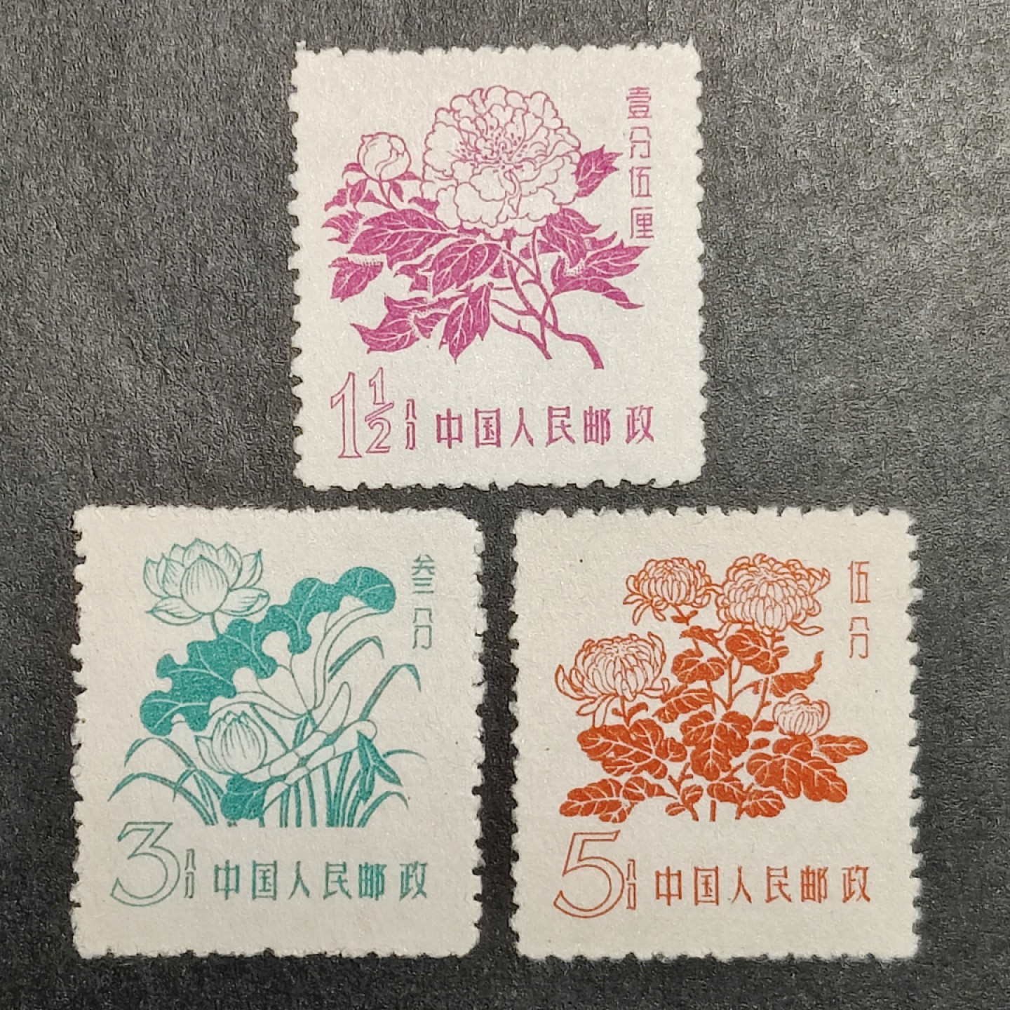 洪涛臻品批发群  精选邮票限时拍卖第一百七十七期 普10花卉 新票3全 上品-全品  赝品多 终身保真！
