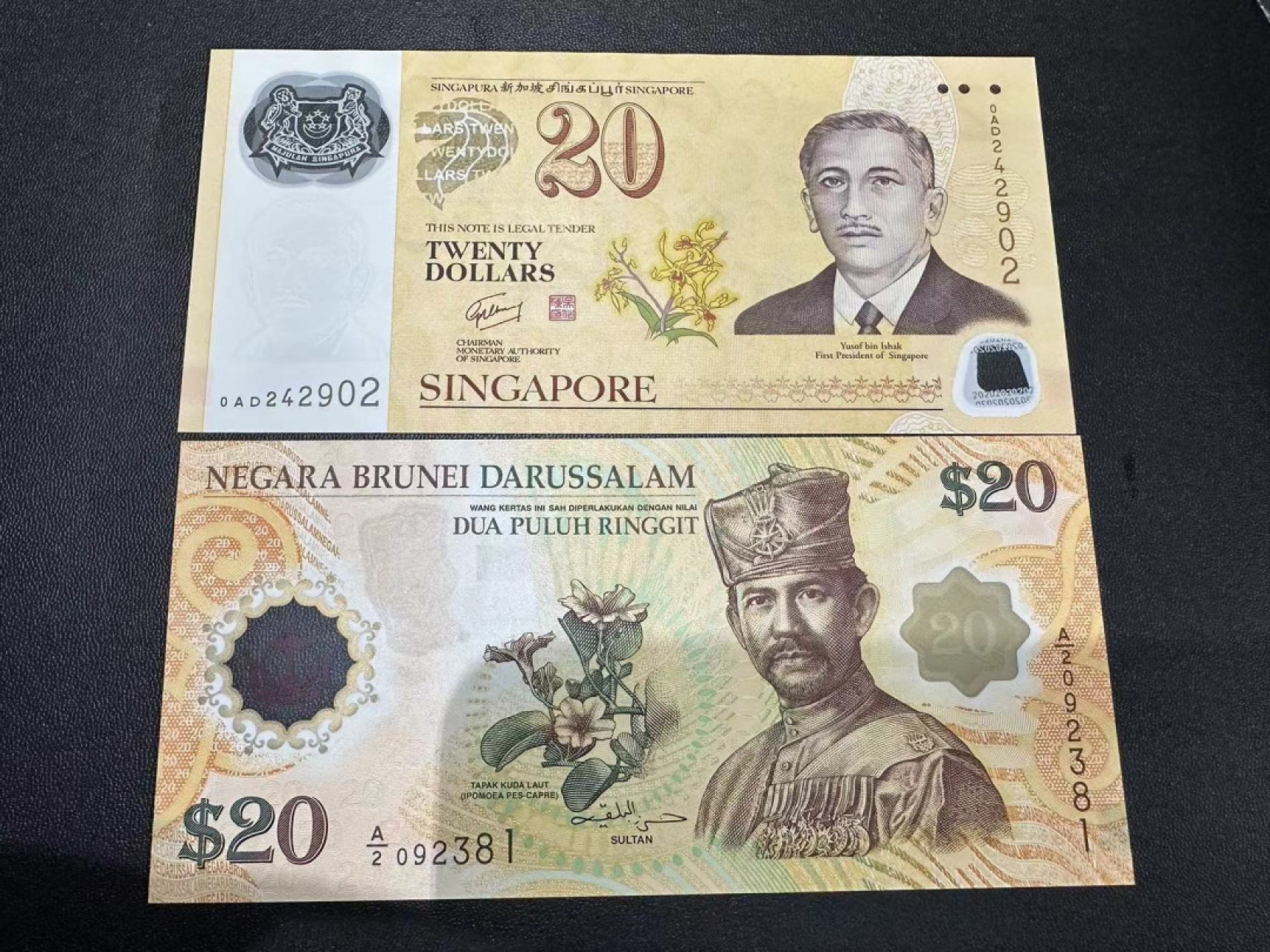 《外钞收藏家》第二百四十一期 新加坡文莱纪念钞 两张一起 全新UNC